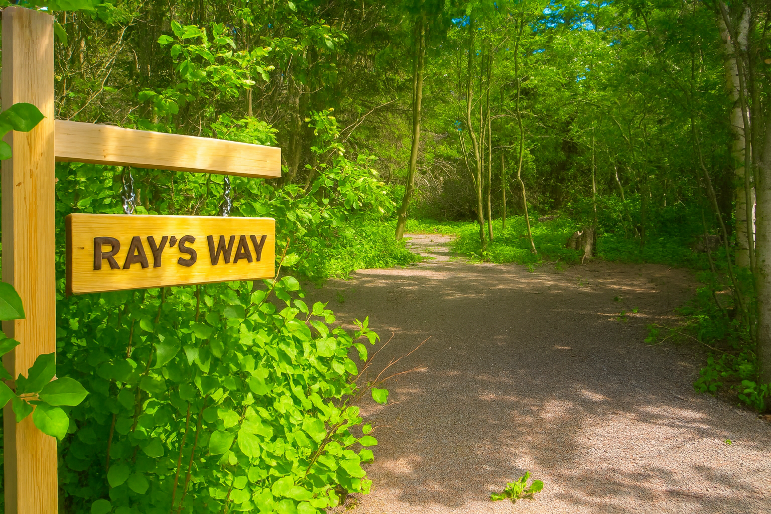 ChatGPT Image Nov 16, 2025 at 09_08_38 AM